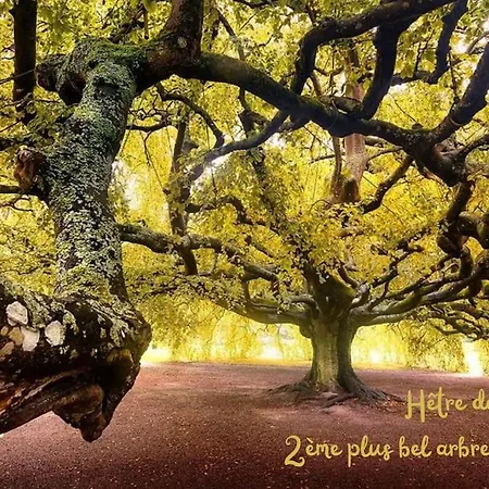 Le Vintage 14 * バイユー